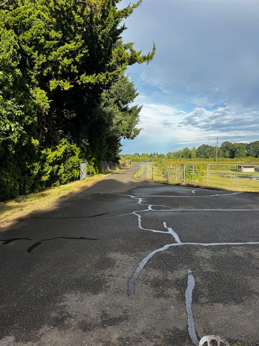 Pothole and crack repair in asphalt